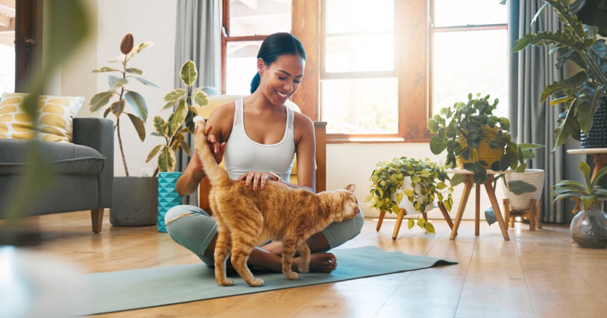 Quero ser mãe de pet, quais são os acessórios necessários que preciso ter em casa?