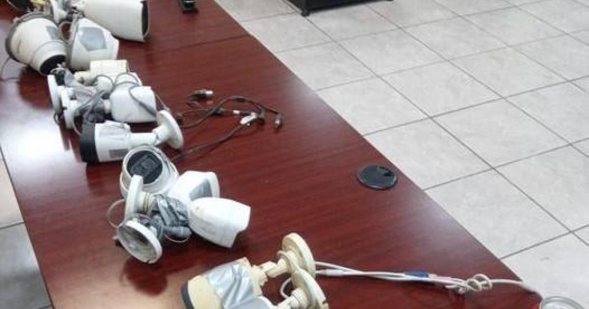 Surveillance cameras placed on palm trees by drug cartel “falcons” in city on border with Arizona, Mexico authorities say