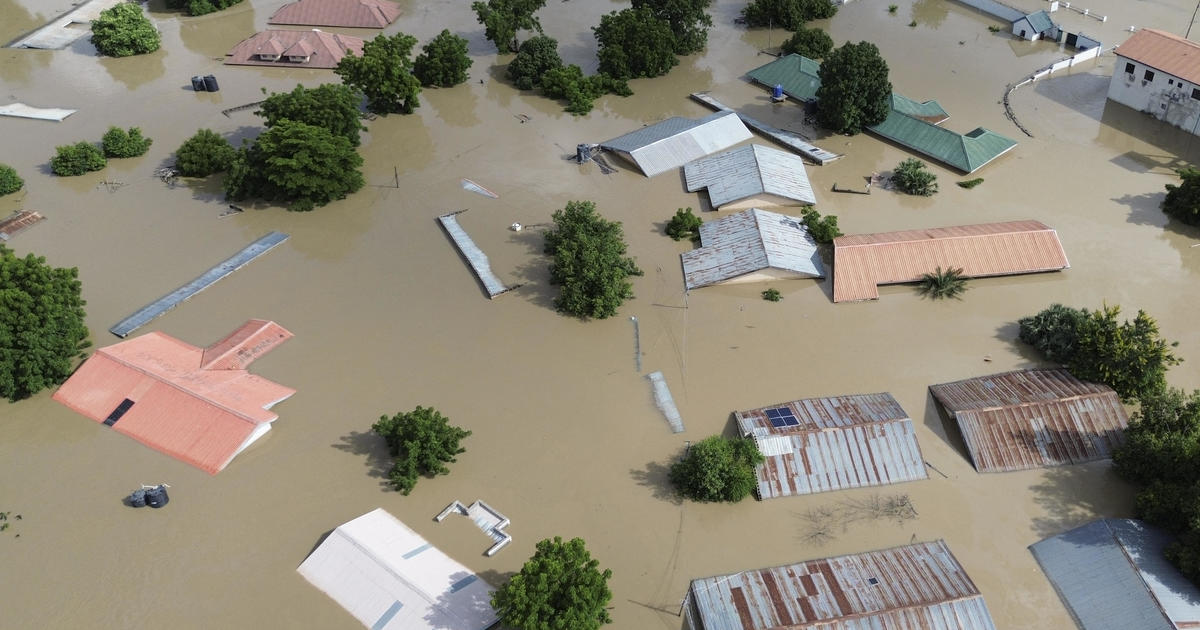 Deadly flooding in West and Central Africa leaves corpses of crocodiles and snakes floating among human bodies