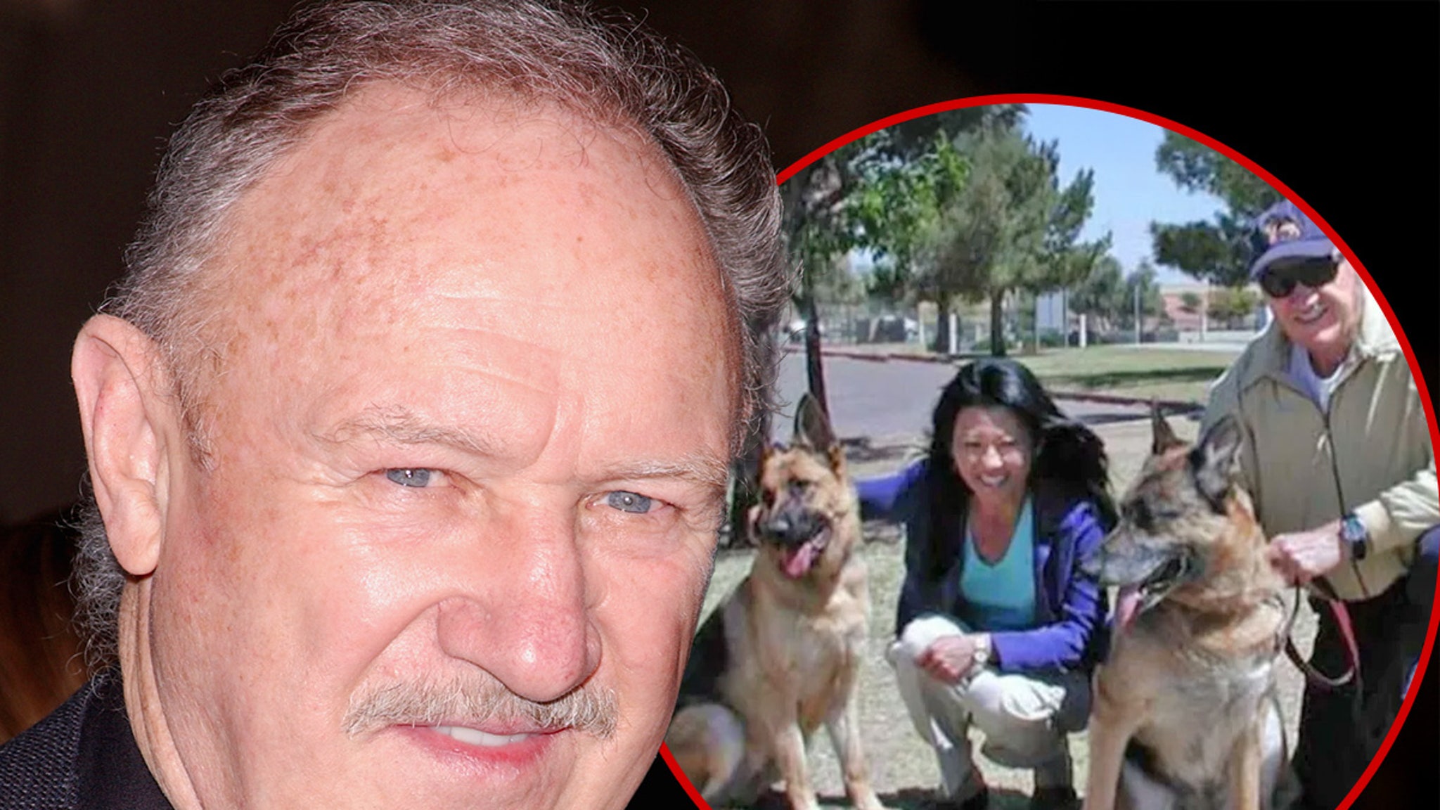 Gene Hackman’s Dogs Safe With Santa Fe Authorities