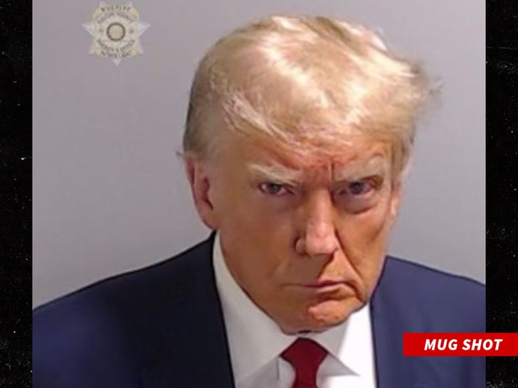 donald trump mug shot