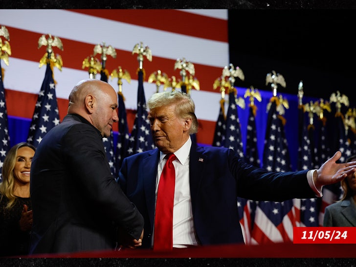 dana white donald trump sub
