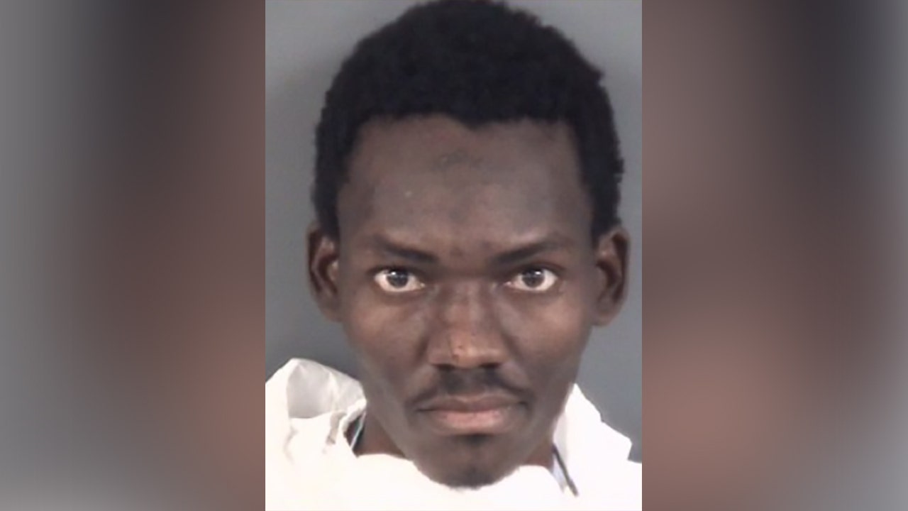 Haitian man charged in triple murder flew into US on migrant flights program: ICE