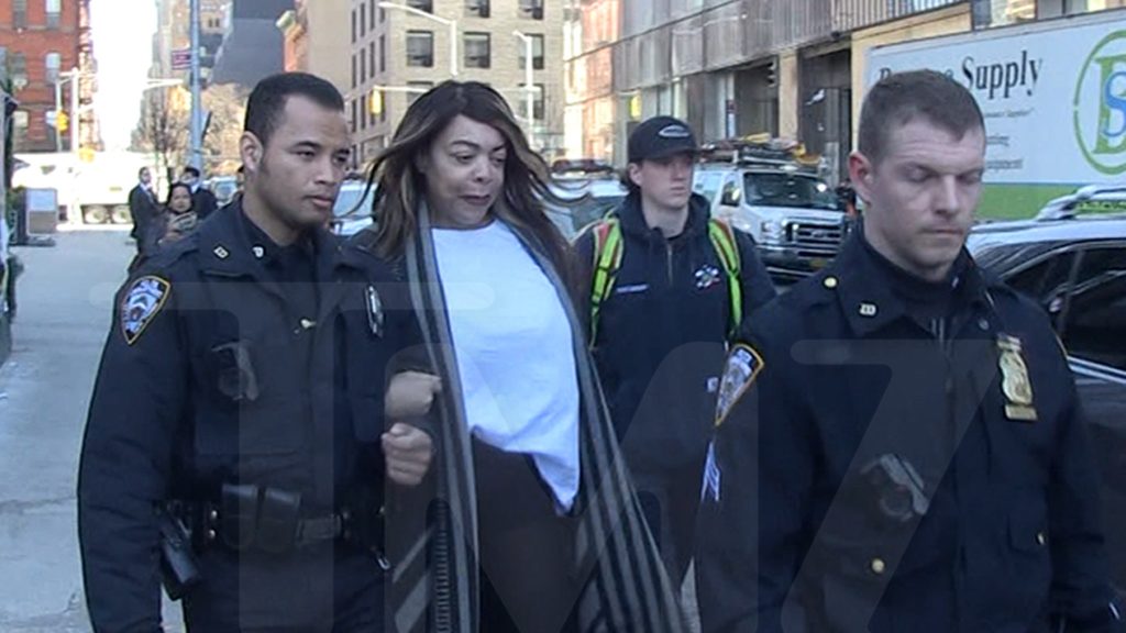 Wendy Williams at Hospital to Determine Mental Capacity