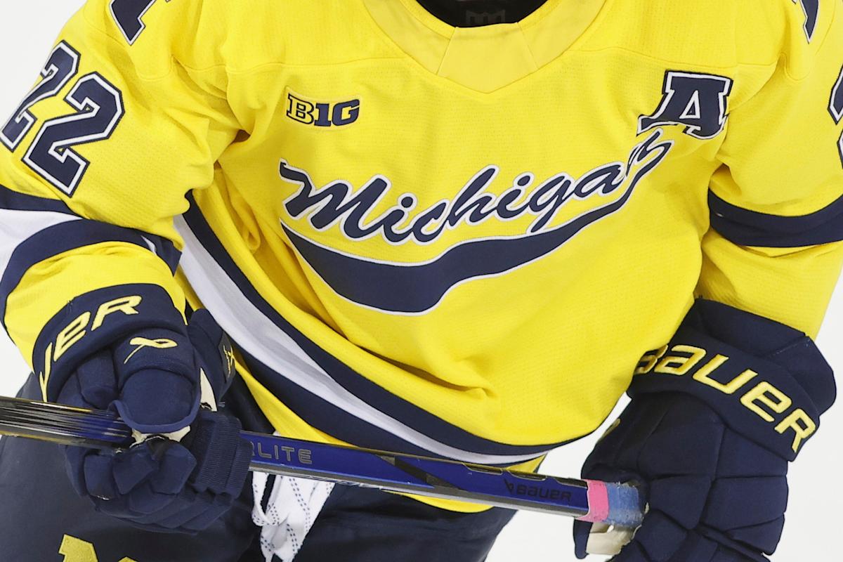Bid to launch women’s DI hockey at Michigan moving forward, regent Denise Ilitch tells the AP
