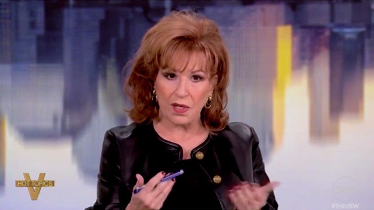 ‘The View’ co-host Joy Behar claims she ‘could’ be friends with a Trump supporter