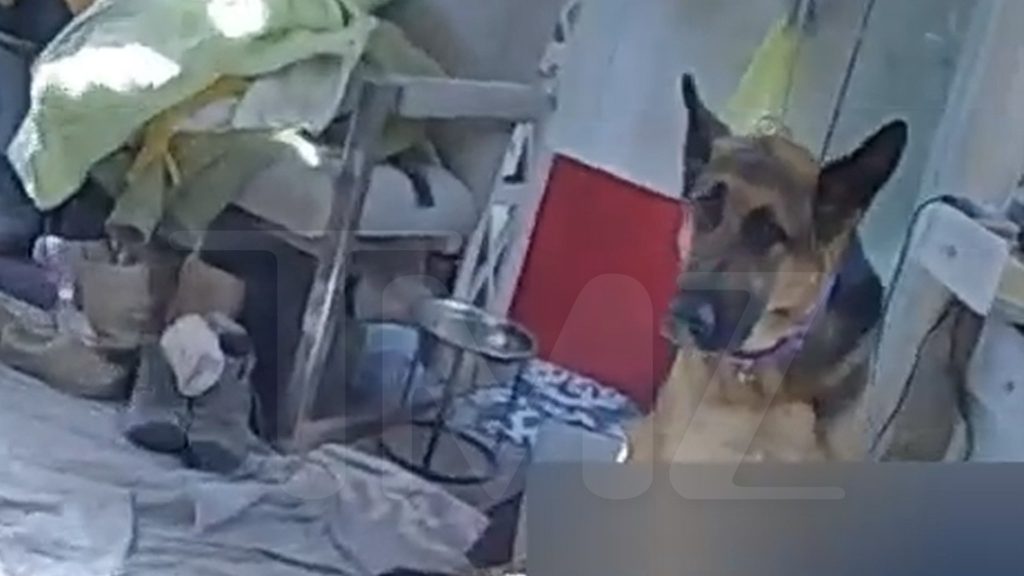 Gene Hackman Police Body Cam Video Shows Dog Protecting Wife’s Dead Body