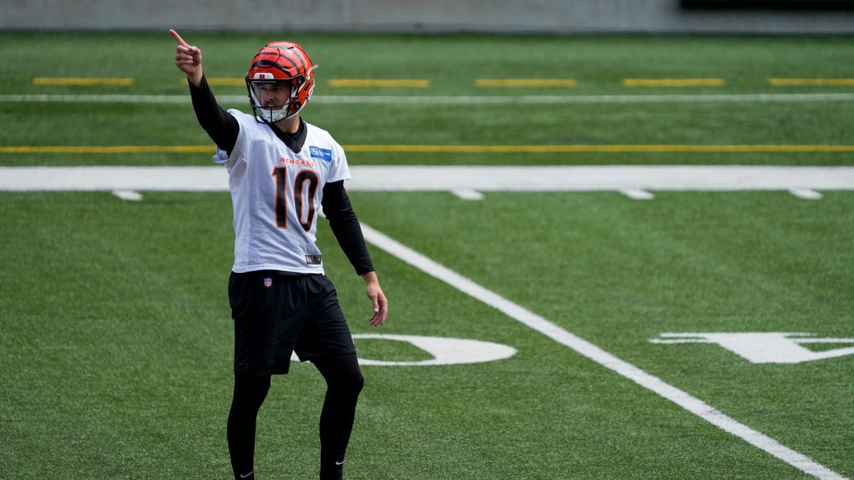 Former Bengals draft pick finds new home in NFL free agency