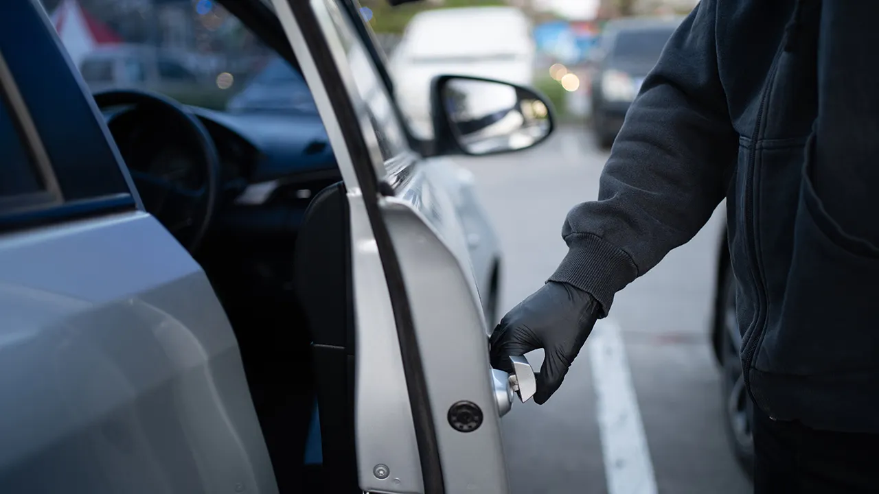 International crime rings target luxury vehicles for overseas heists
