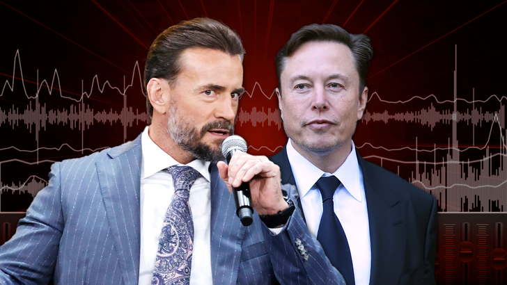 cm-punk-elon-musk-Audio-Template