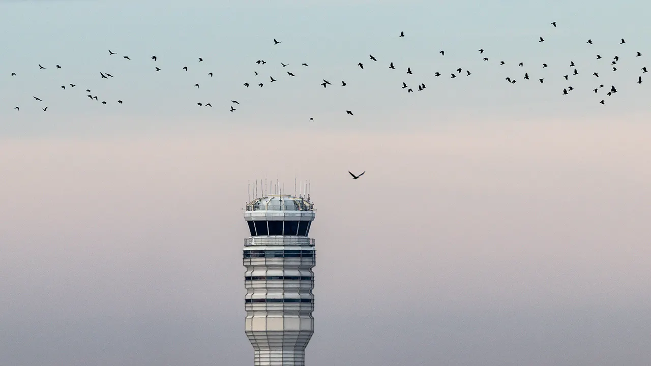 FAA employee charged with assault after air traffic control tower fight at DCA