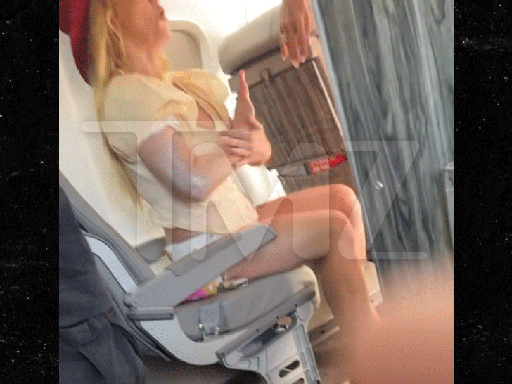 Britney-Spears-plane-wm