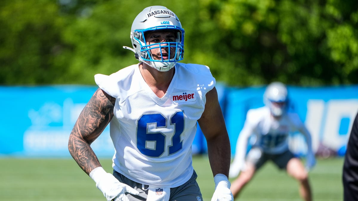 Detroit Lions gain roster spot for selection of DE Ahmed Hassanein