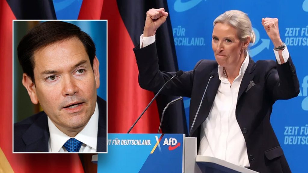 Germany’s popular AfD party designated by country’s intel agency as ‘extremist’