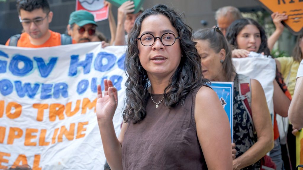 Democratic socialist Mamdani ally running for US House seat in NY