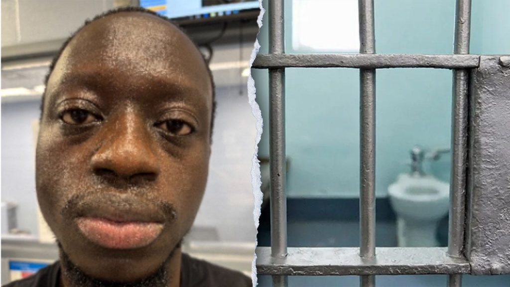 ICE slams PA county for releasing sex assault suspect with detainer