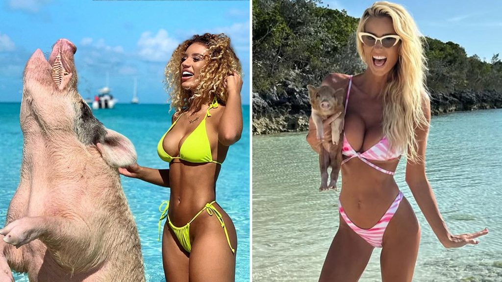 Celebs Pigging Out For National Pig Day