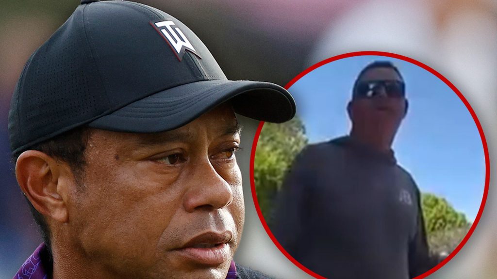 Tiger Woods Crash Victim Hires Lawyer