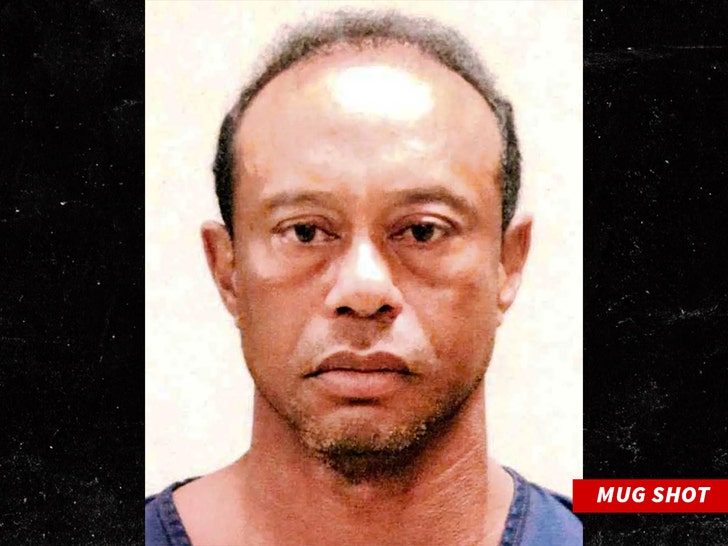 tiger woods mug shot 1