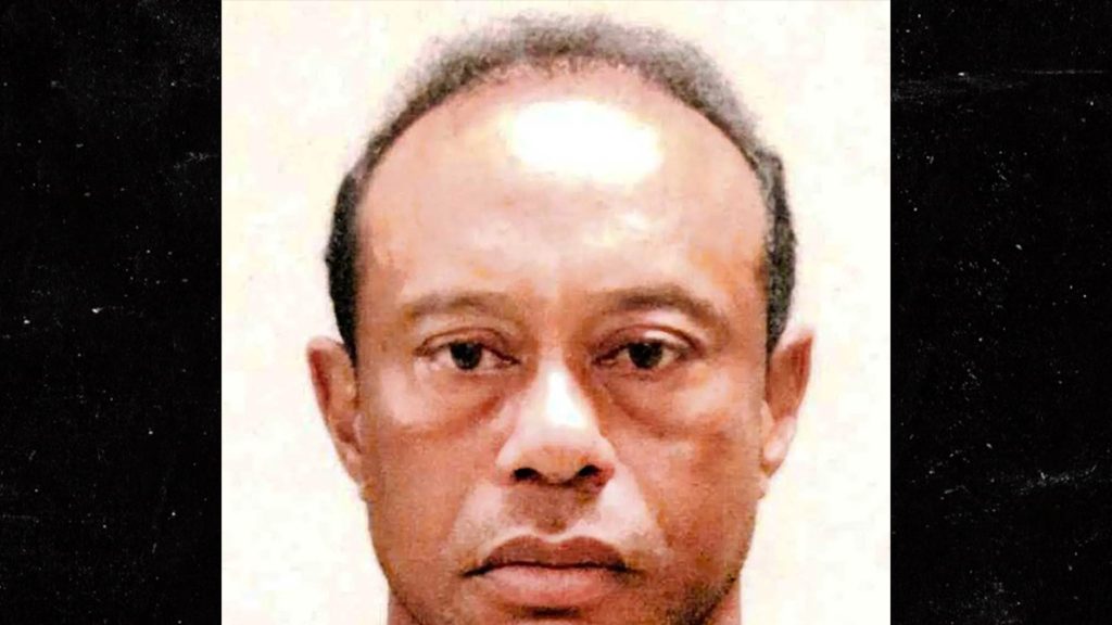 Second Tiger Woods Mug Shot Released Showing Different Look After DUI Bust