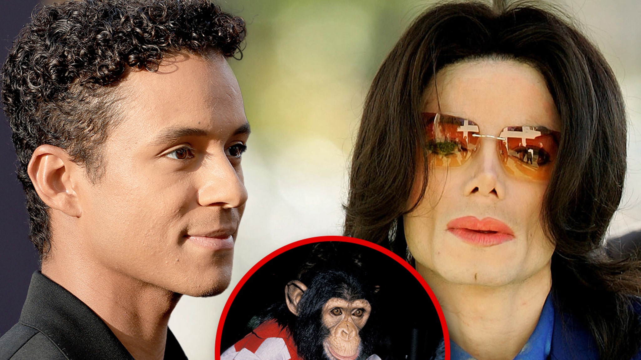 Michael Jackson’s Chimp Bubbles Was Not Visited by Jaafar, Online Pics Are Fake