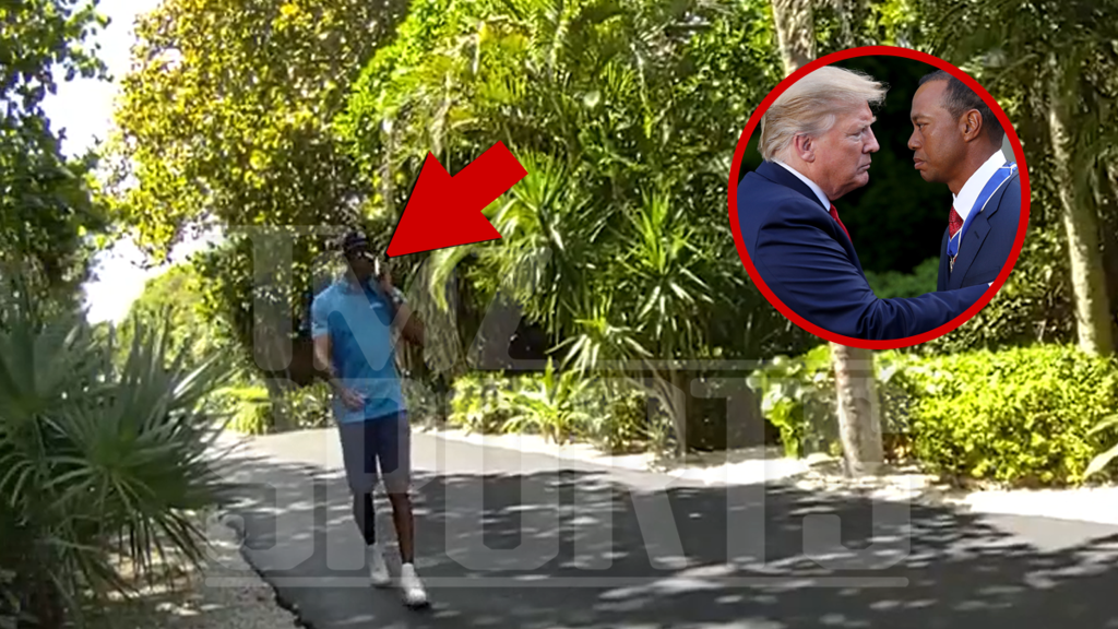 Tiger Woods Called President Donald Trump From Scene After Flipping Car