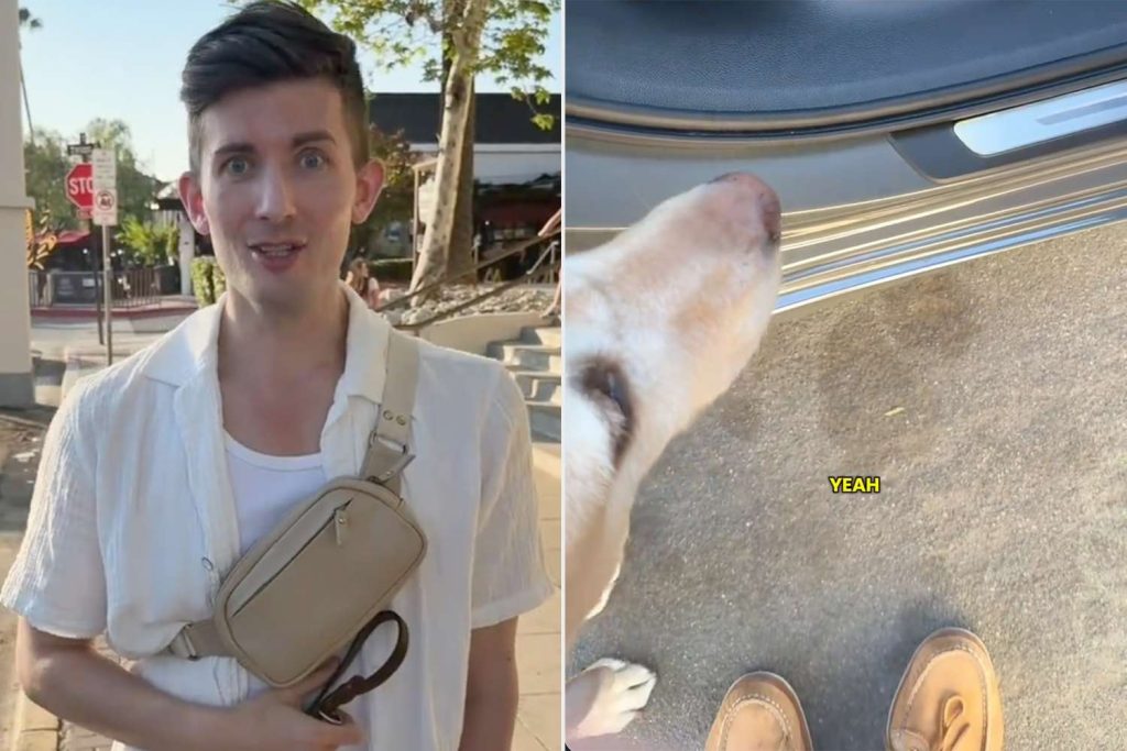Reconocido influencer ciego denuncia ser víctima de discriminación junto a su perro guía