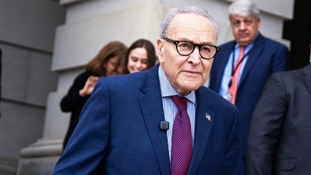Schumer says blocking DHS funds is not ‘political posturing’ amid shutdown