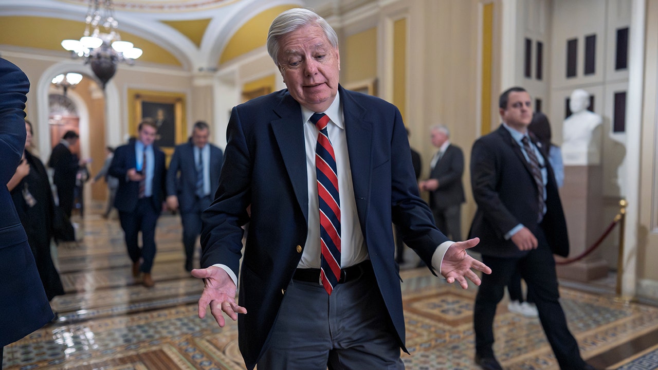 Lindsey Graham warns Republicans who ‘try to destroy’ Trump will lose