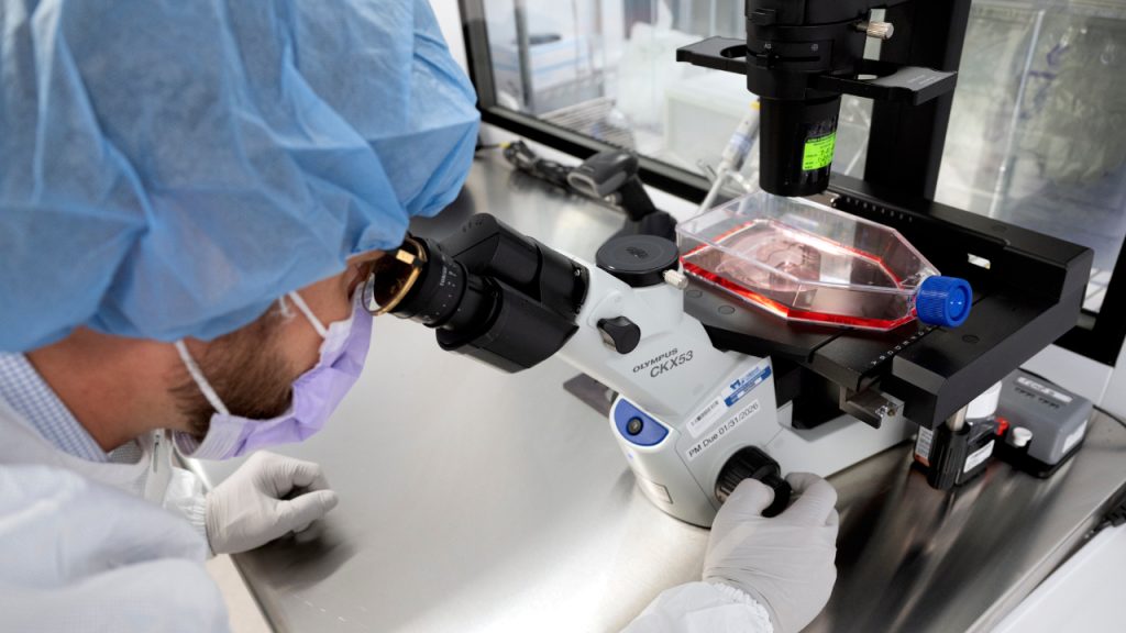 RenovoRx targets pancreatic cancer with direct chemo delivery system