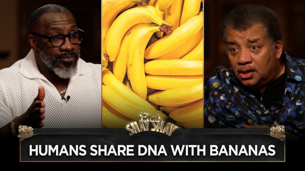 Neil deGrasse Tyson: Humans Share DNA With Mushrooms, Bananas & Plants I CLUB SHAY SHAY