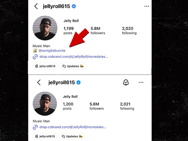 jelly roll removes bunny