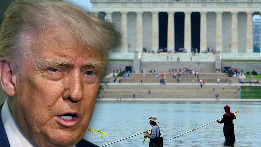 Trump Calls Reflecting Pool Vandalism ‘Deranged,’ Announces Immediate Repair