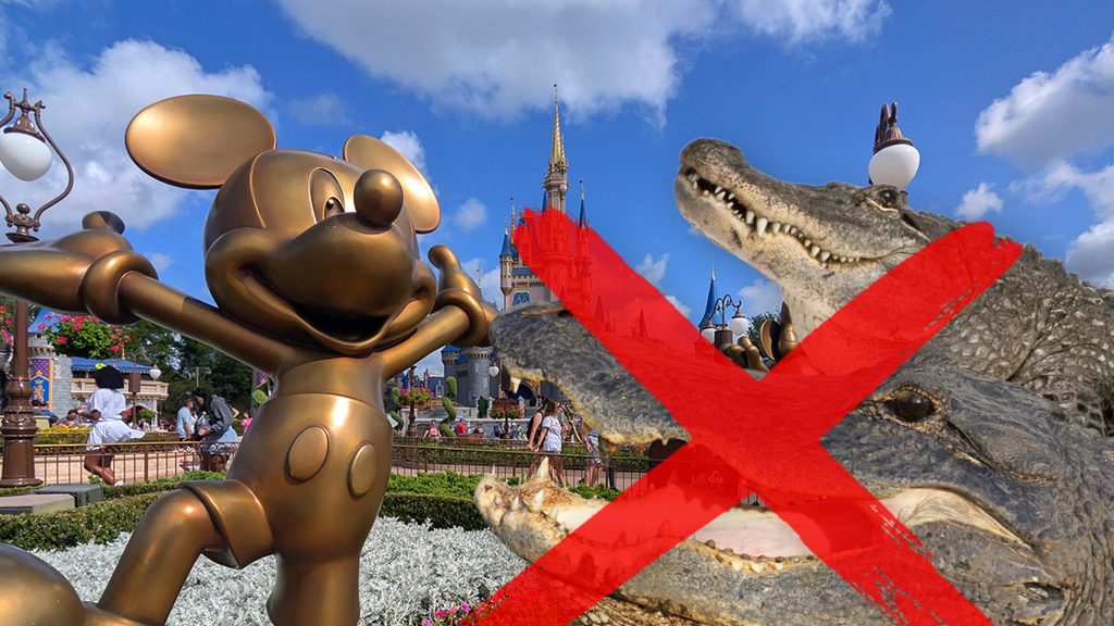 414 Alligators Removed From Disney World Since Toddler’s Tragic Death