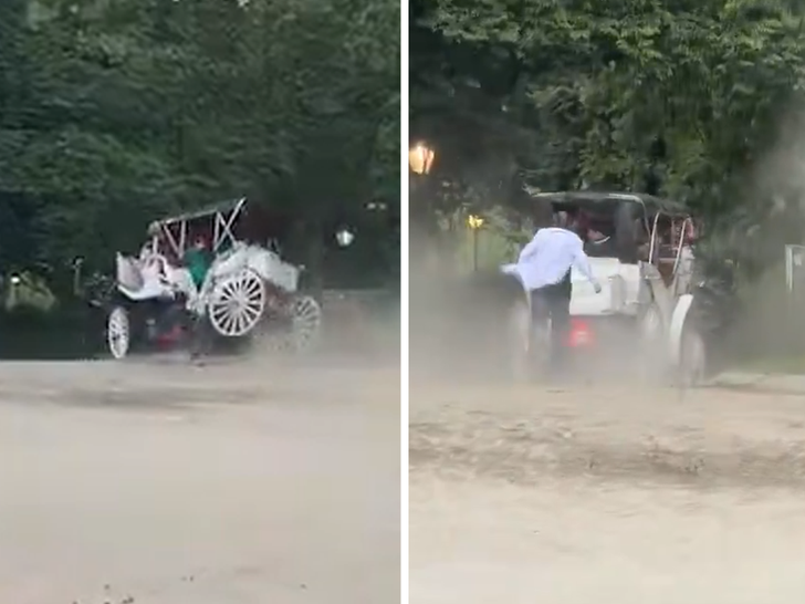 061826 new york horse primary 5