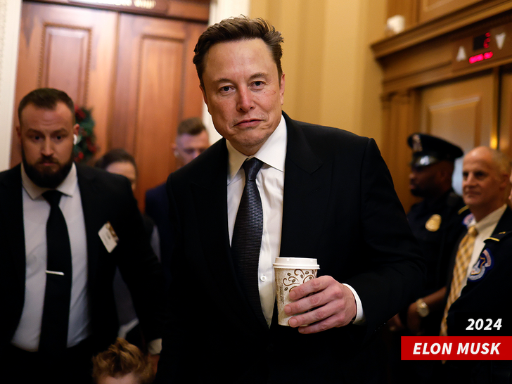 sub elon musk getty
