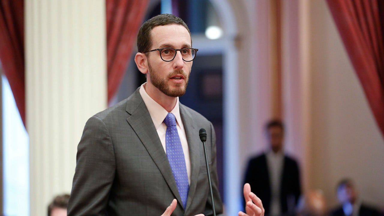 Pro-Israel California senator heckled at Trans March, ‘We f—ing hate you’