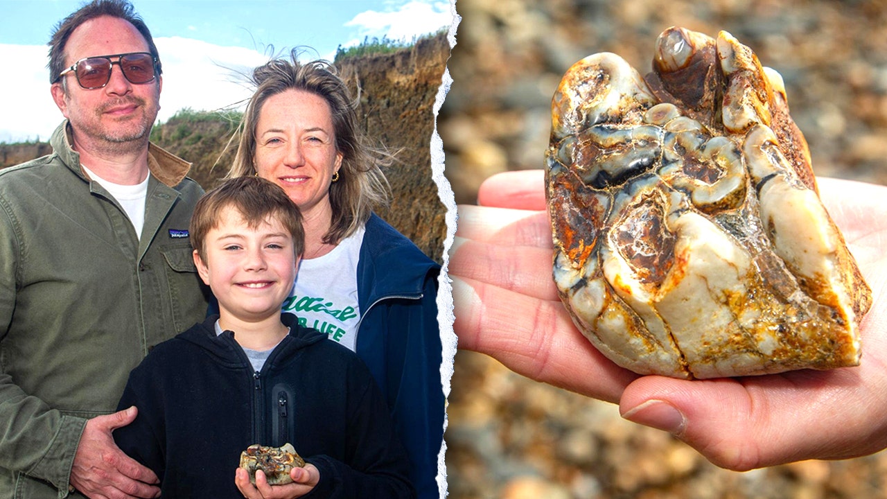 Boy, 11, finds 1.8 million-year-old elephant tooth on England beach