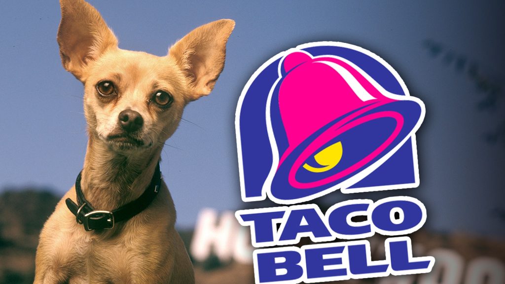 Taco Bell Chihuahua Voice Actor Still Eats There, But Warns ‘Proceed With Caution’