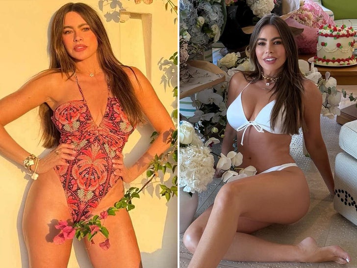 Sofia Vergara's Hot Shots