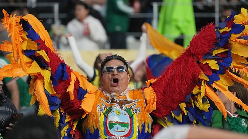 Mexico fans celebrate World Cup win over Ecuador