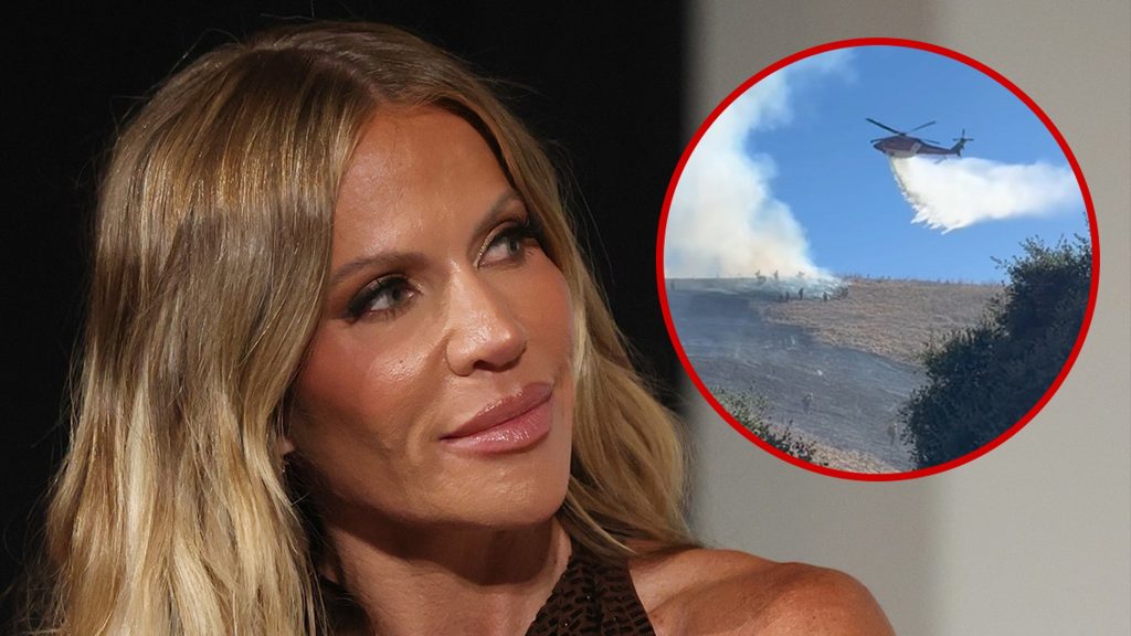 ‘RHOC’ Star Jennifer Pedranti Says Son Started Fire in California