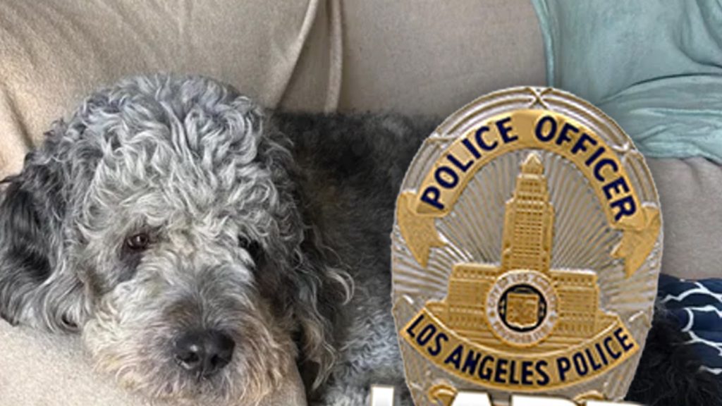 Family of Dog Killed by LAPD During Knicks Game Celebration Sues City