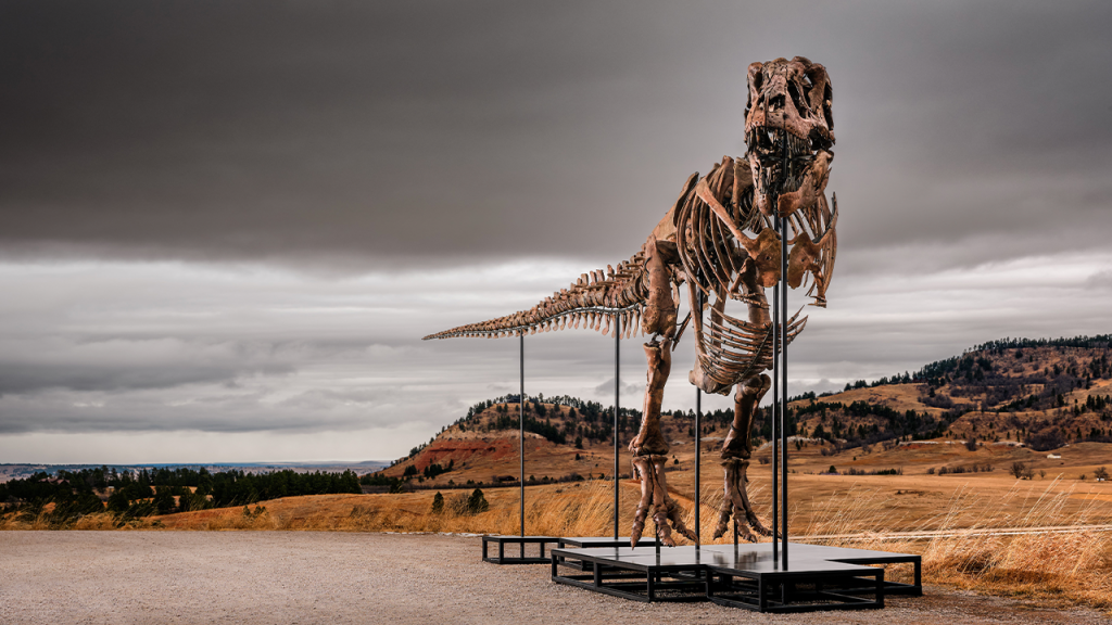 T. rex skeleton Gus sells for a record $50M at Sotheby’s auction