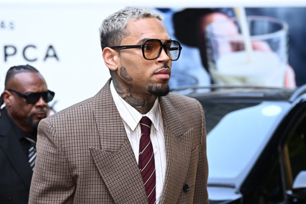 Chris Brown Ordered to Pay $13 Million for Dog Attack
