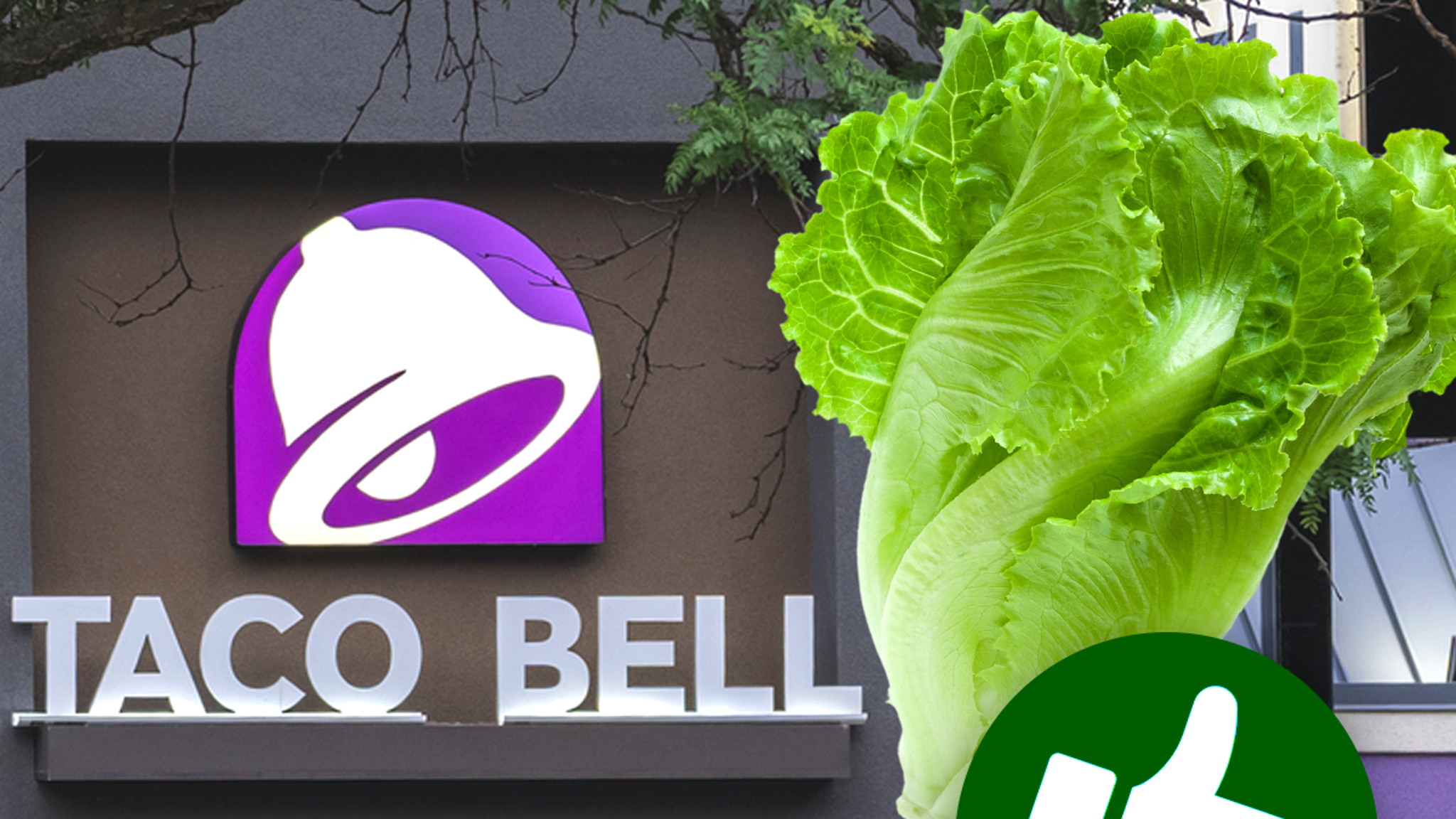 Taco Bell Says Their Food Is Now Safe After Cyclosporiasis Outbreak