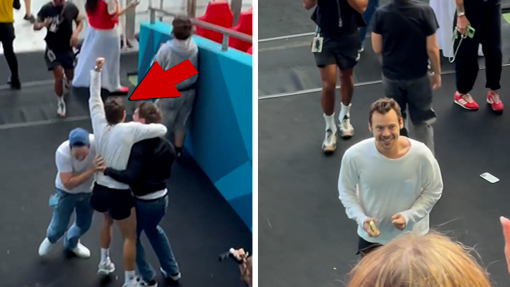 Harry Styles Goes Wild Over England’s World Cup Win