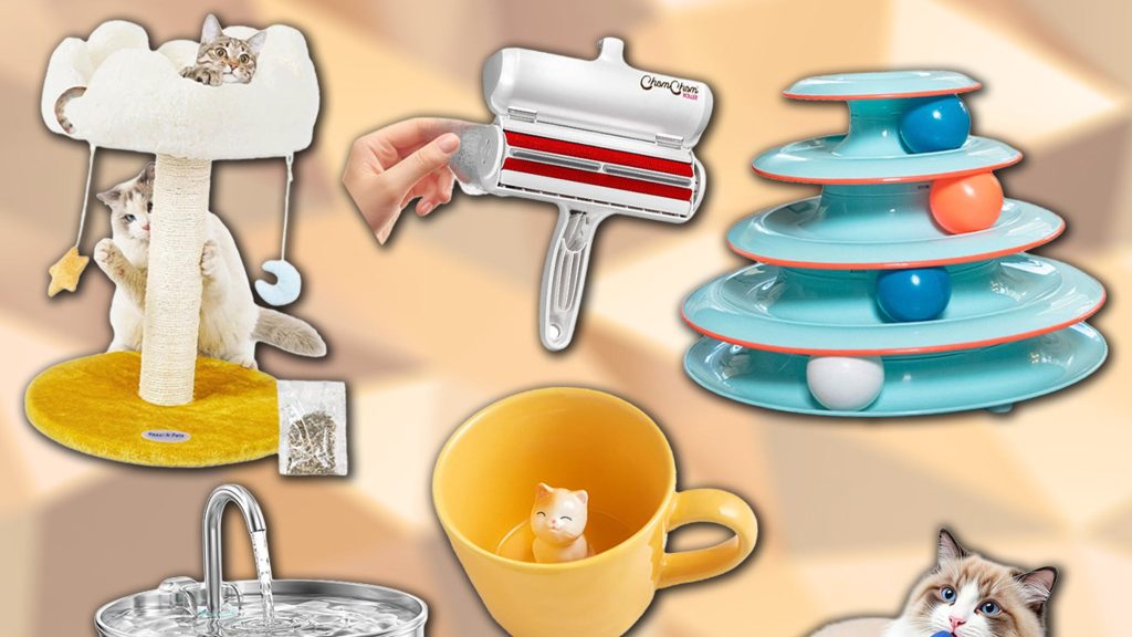 International Cat Day Gift Guide