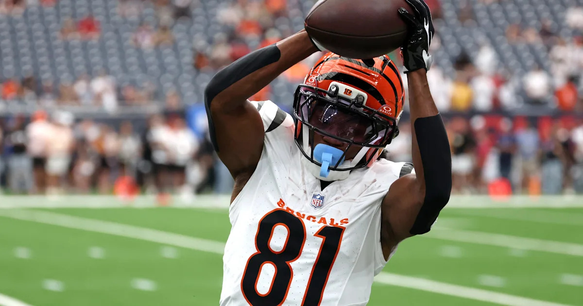 Bengals thrilled with Dohnte Meyers after Iosivas, Young injuries
