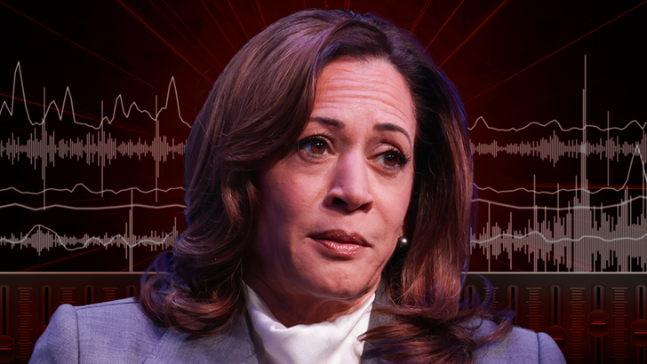 kamala-harris-audio-art-desktop-1